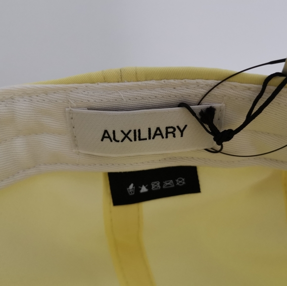 Aritzia Chicago Cap - Picture 3 of 5